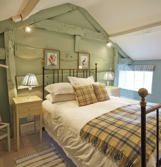 Verdigris Edward Bulmer Natural Paint