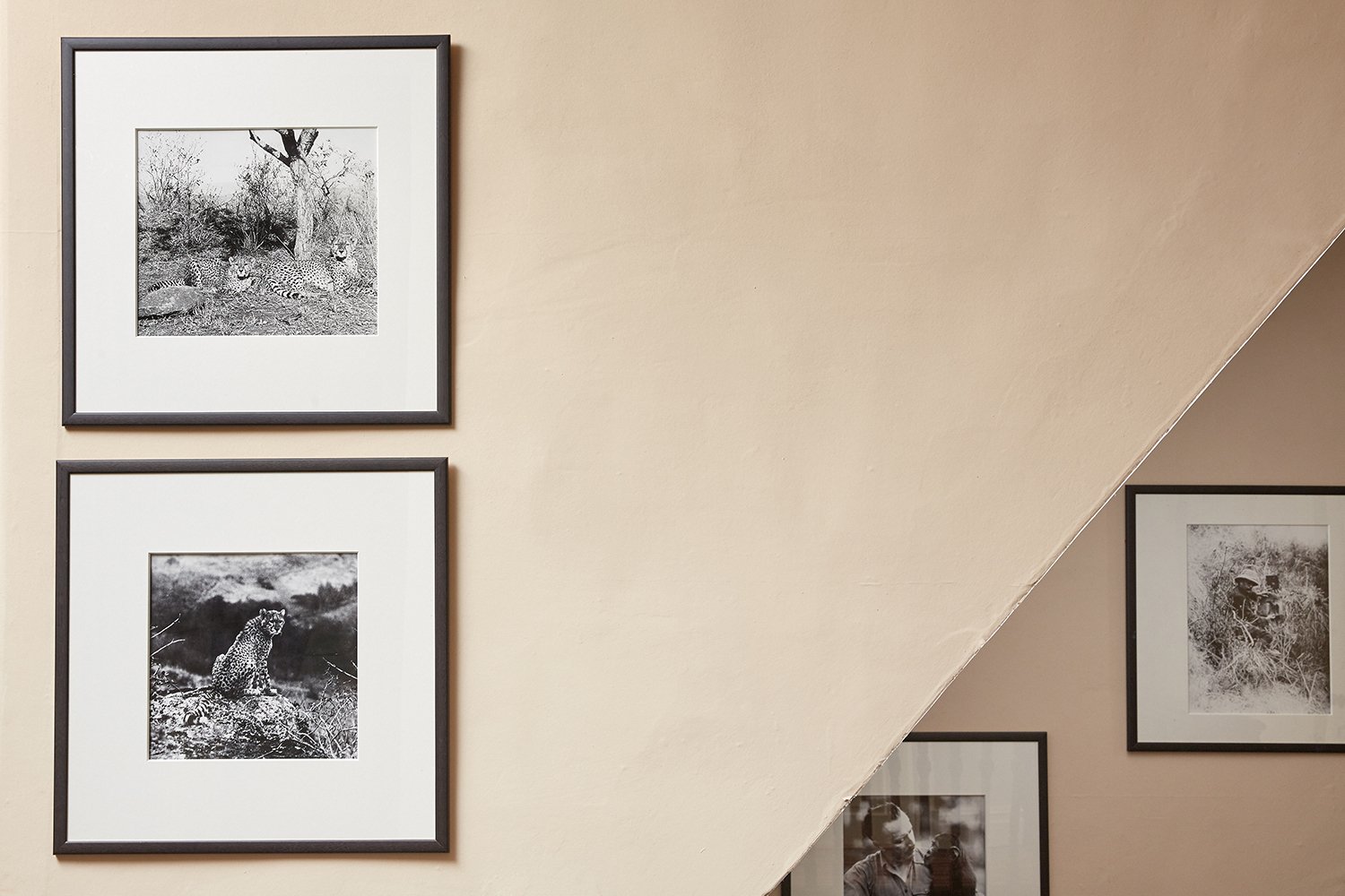 Gallery Archive Edward Bulmer Natural Paint