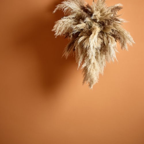 How to Choose the Right Paint Finish Edward Bulmer Natural Paint