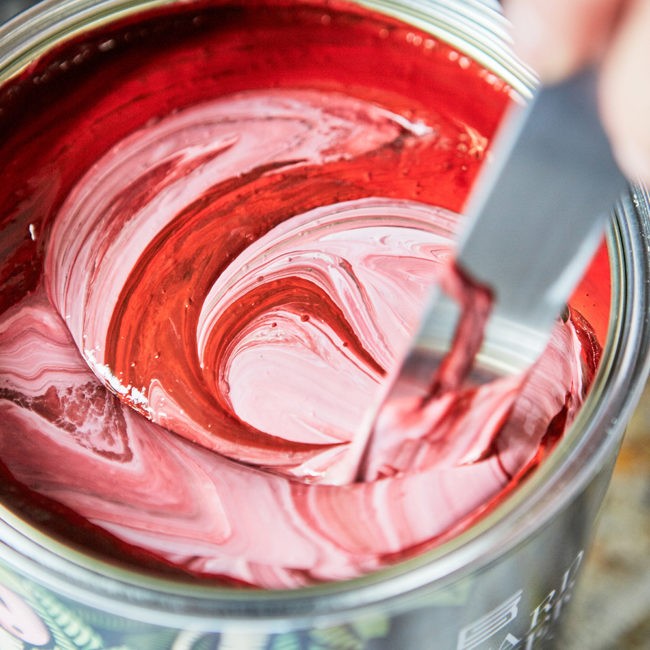 How to Paint a Wall in Our Emulsion Edward Bulmer Natural Paint