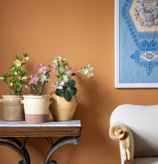 Herbarium, The Chatsworth Collection